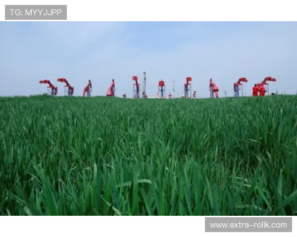 美国赌场的环保与可持续发展措施，打造绿色娱乐新标杆